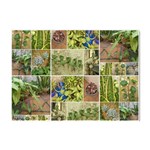 Garden Sanctuary Photo Collage Print Crystal Sticker (A4) Front