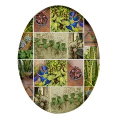 Garden Sanctuary Photo Collage Print Oval Glass Fridge Magnet (4 Pack) by dflcprintsclothing