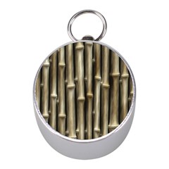 Bamboo Grass Mini Silver Compasses by anzea