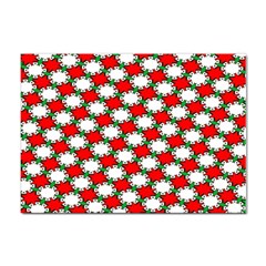 Christmas Star Red Green Sticker A4 (100 Pack) by anzea