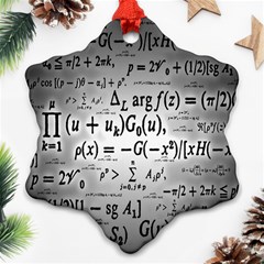 Math Formula Ornament (snowflake)