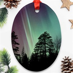 Silhouette Of Aurora Borealis Ornament (oval)