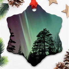 Silhouette Of Aurora Borealis Snowflake Ornament (two Sides)