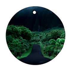 Jungle Road Hawaii Asphalt Mountains Green Ornament (round) by Bedest