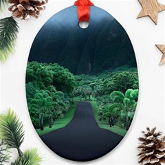 Jungle Road Hawaii Asphalt Mountains Green Ornament (oval)