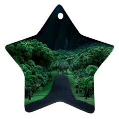 Jungle Road Hawaii Asphalt Mountains Green Ornament (star) by Bedest