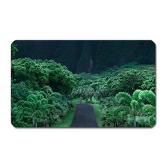 Jungle Road Hawaii Asphalt Mountains Green Magnet (rectangular) by Bedest