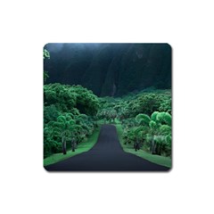 Jungle Road Hawaii Asphalt Mountains Green Square Magnet by Bedest