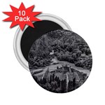 Florentino ameghino dam, chubut, argentina 2.25  Magnets (10 pack)  Front