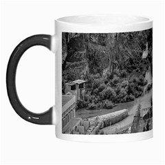 Florentino Ameghino Dam, Chubut, Argentina Morph Mug