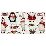 Christmas Characters Pattern, Xmas Backgrounds Banner and Sign 4  x 2  Front