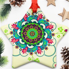 Mandala Flowers, Abstract, Butterflies, Floral, Pattern Ornament (star)