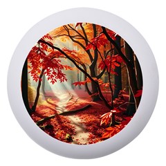 Forest Path Red Nature Dento Box With Mirror by Bedest