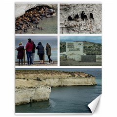 Punta Loma Photo Collage, Chubut Province, Argentina Canvas 12  X 16  by dflcprintsclothing