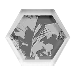 Splash Hexagon Wood Jewelry Box by geonetique