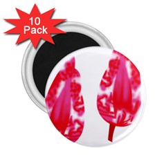 A Pair Of Red Leaves On A Black Background 2 25  Magnets (10 Pack)  by catchydesignhill