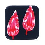 A Pair Of Red Leaves On A Black Background Square Metal Box (Black) Front