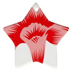 A Red Flower On A Black Background Star Ornament (two Sides)