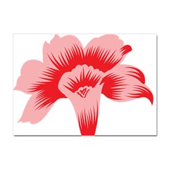 A Red Flower On A Black Background Crystal Sticker (a4) by catchydesignhill