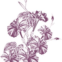 A Drawing Of A Plant With Purple Flowers Play Mat (rectangle) by catchydesignhill