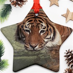 Swimming Tiger Ornament (star)