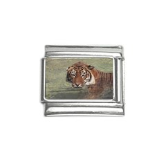 Swimming Tiger Italian Charm (9mm) by ExtraAwesomeSauce