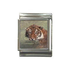 Swimming Tiger Italian Charm (13mm) by ExtraAwesomeSauce