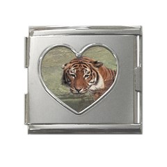 Swimming Tiger Mega Link Heart Italian Charm (18mm)