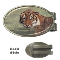 Swimming Tiger Money Clips (oval)  by ExtraGoodSauce