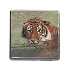 Swimming Tiger Memory Card Reader (square 5 Slot) by ExtraAwesomeSauce