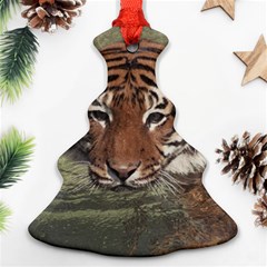 Swimming Tiger Ornament (christmas Tree) 