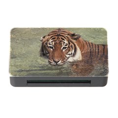 Swimming Tiger Memory Card Reader With Cf by ExtraGoodSauce