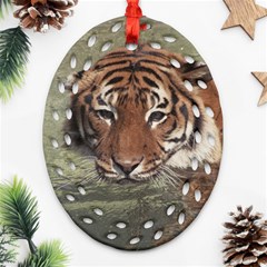 Swimming Tiger Ornament (oval Filigree)