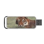 Swimming Tiger Portable USB Flash (One Side) Front