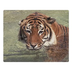 Swimming Tiger Two Sides Premium Plush Fleece Blanket (large) by ExtraGoodSauce