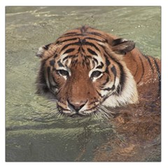 Swimming Tiger Square Satin Scarf (36  X 36 ) by ExtraGoodSauce