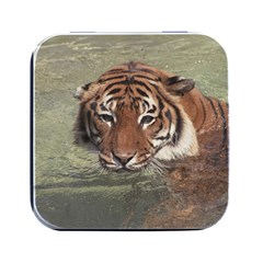 Swimming Tiger Square Metal Box (black)