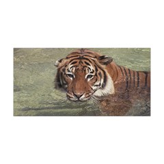 Swimming Tiger Yoga Headband by ExtraGoodSauce