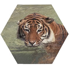 Swimming Tiger Wooden Puzzle Hexagon by ExtraAwesomeSauce