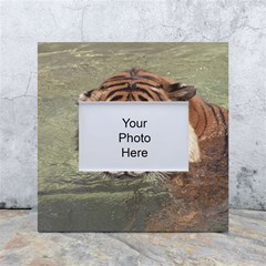 Swimming Tiger White Box Photo Frame 4  X 6  by ExtraAwesomeSauce