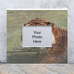 Swimming Tiger White Wall Photo Frame 5  X 7  by ExtraGoodSauce