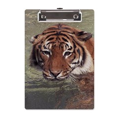 Swimming Tiger A5 Acrylic Clipboard by ExtraGoodSauce