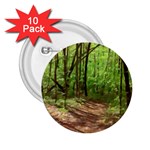 Peaceful Green Forest Walk 2.25  Buttons (10 pack)  Front