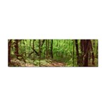 Peaceful Green Forest Walk Sticker Bumper (100 pack) Front