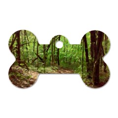 Peaceful Green Forest Walk Dog Tag Bone (one Side) by ExtraGoodSauce