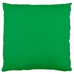 A Green Background With A White Border Standard Premium Plush Fleece Cushion Case (one Side) by catchydesignhill