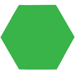 A Green Background With A White Border Wooden Puzzle Hexagon by catchydesignhill