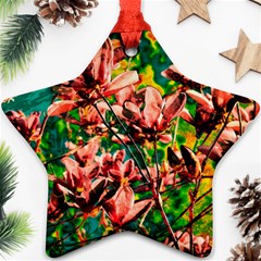 Abstract Floral Artwork Ornament (star)