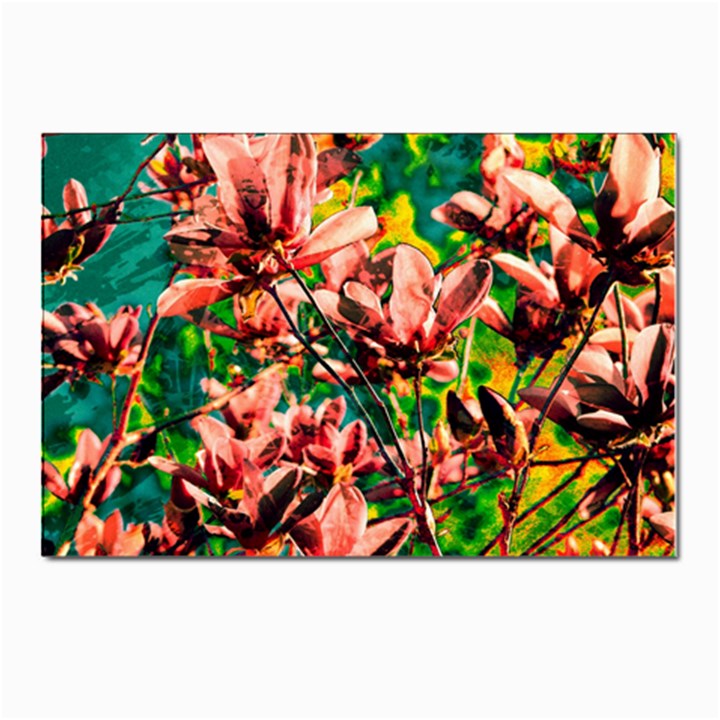 Abstract Floral Artwork Postcards 5  x 7  (Pkg of 10)