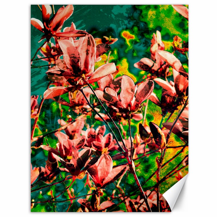 Abstract Floral Artwork Canvas 36  x 48 